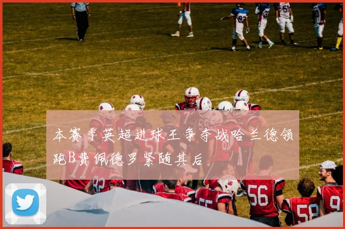 本赛季英超进球王争夺战哈兰德领跑B费佩德罗紧随其后